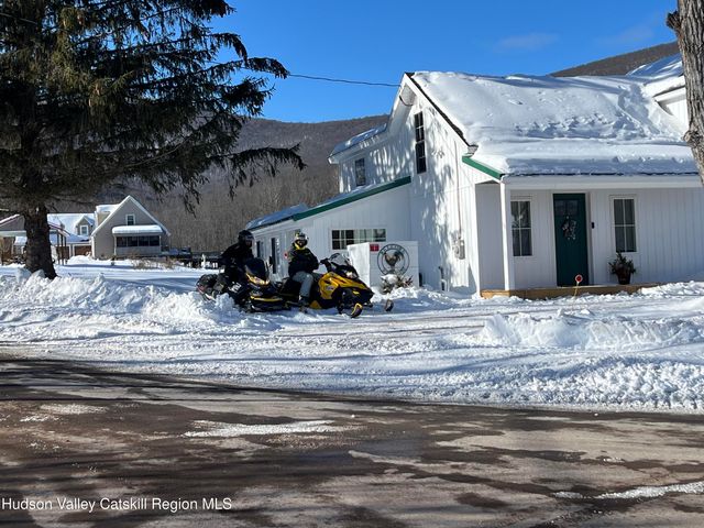 8 Don Irwin Road, Prattsville, NY 12468