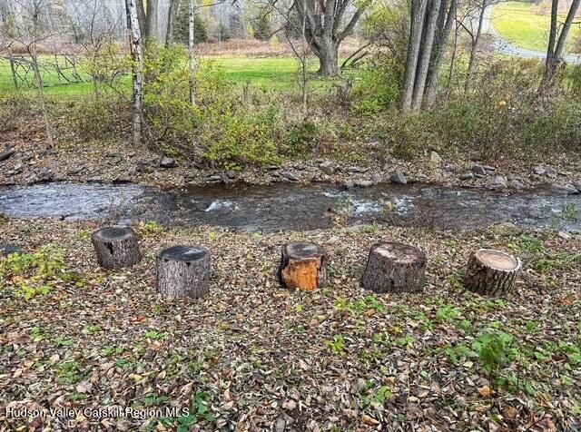 8 Don Irwin Road, Prattsville, NY 12468