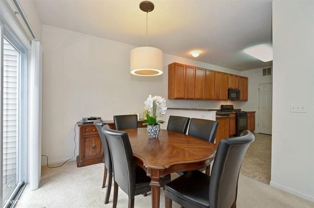 376 N Tower Drive, Hainesville, IL 60030