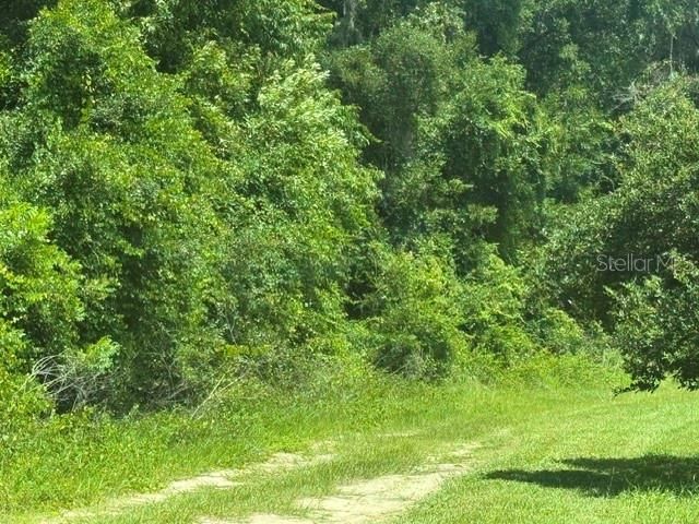 4700 SW 36TH STREET, Ocala, FL 34474