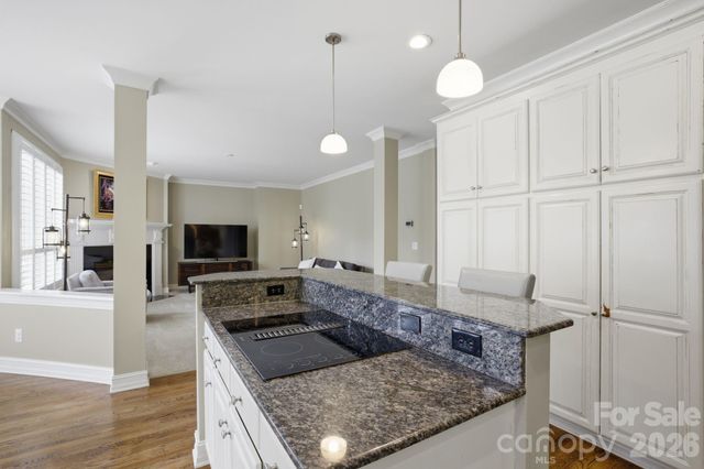 19760 Hagen Knoll Drive, Davidson, NC 28036