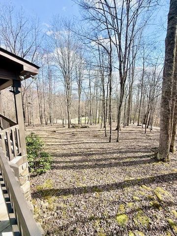 1221 Sam Cove, Robbinsville, NC 28771