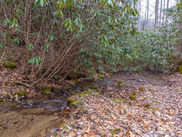 1221 Sam Cove, Robbinsville, NC 28771