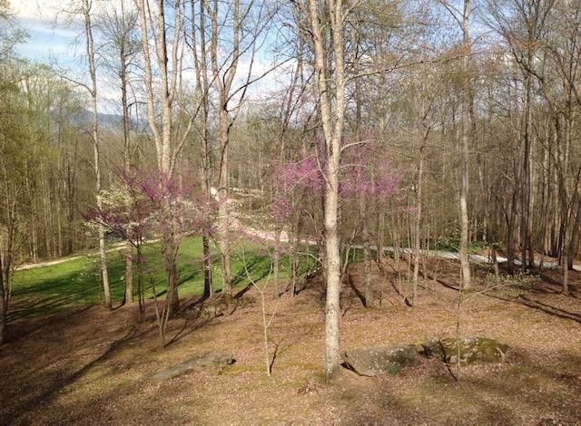 1221 Sam Cove, Robbinsville, NC 28771