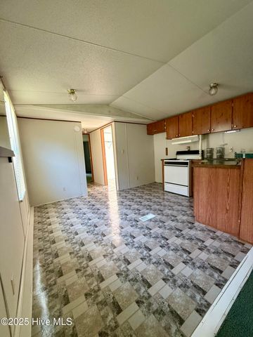1098 Dewey Hardison Road, Williamston, NC 27892