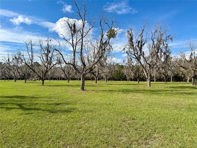 23915 NE STATE RD 26, Melrose, FL 32666