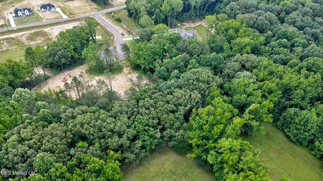 1561 Kimber Cove, Hernando, MS 38632
