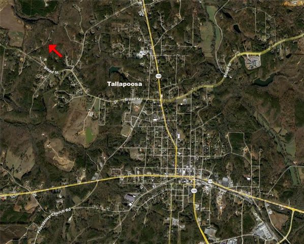 99 Oakland Court, Tallapoosa, GA 30176
