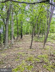 LOT 1 ISLAND RIDGE RD, Purgitsville, WV 26852