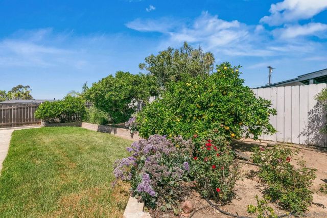 5124 Arlene Street, San Diego, CA 92117