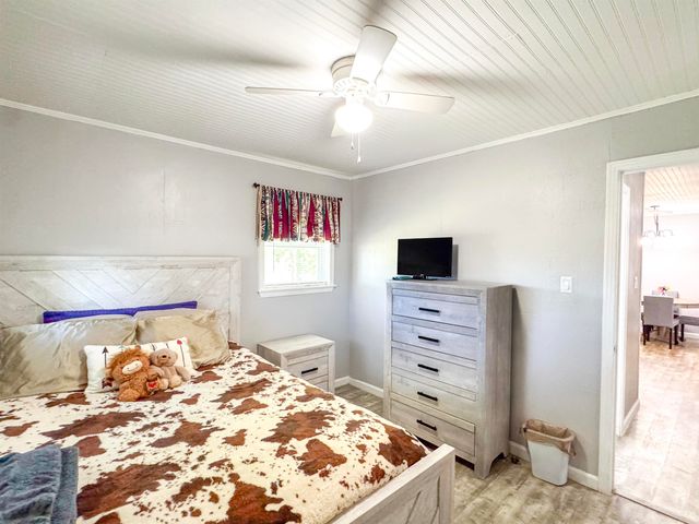 446 S CANAAN GROVE RD, Mason, TN 38049