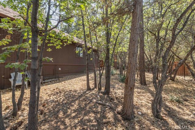 790 Pine Lane, Sugarloaf, CA 92386