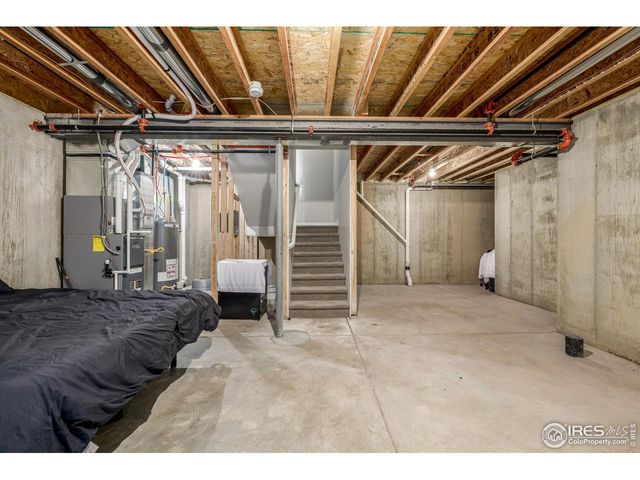 4145 Crittenton Ln 2, Wellington, CO 80549