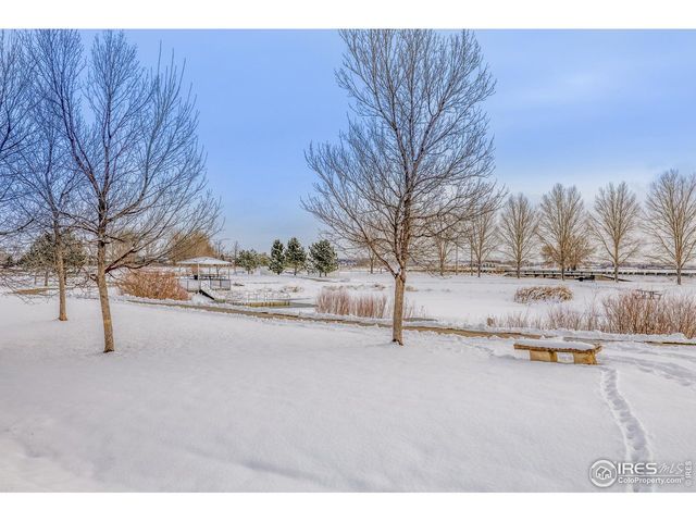 4145 Crittenton Ln 2, Wellington, CO 80549
