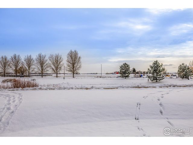 4145 Crittenton Ln 2, Wellington, CO 80549