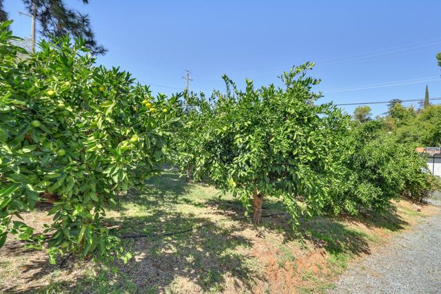 601 Peach Ln, Newcastle, CA 95658