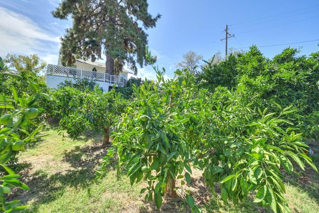 601 Peach Ln, Newcastle, CA 95658