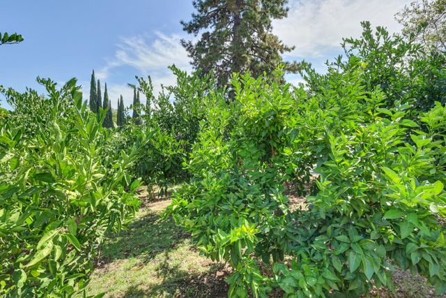 601 Peach Ln, Newcastle, CA 95658