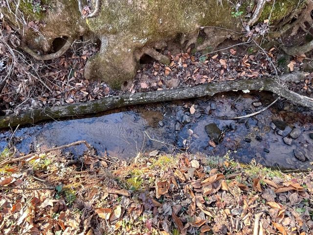 000 Hudlow Road 3, Forest City, NC 28043