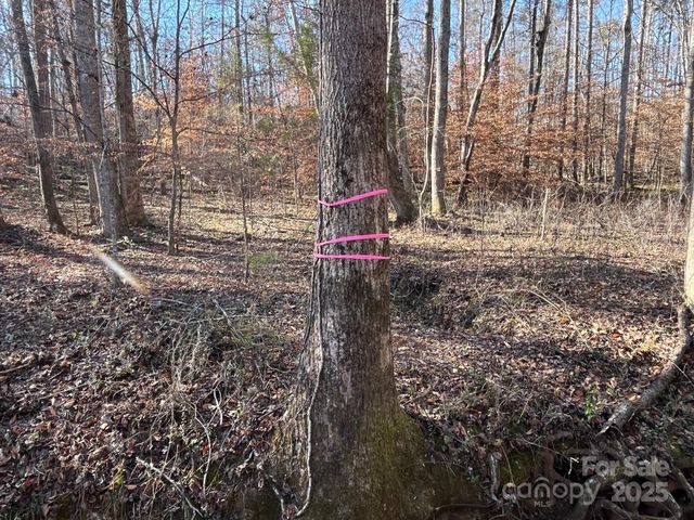 000 Hudlow Road 3, Forest City, NC 28043