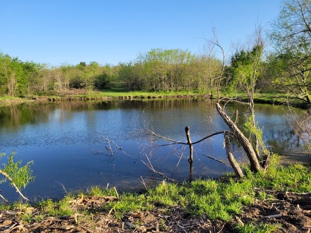 TBD County Road 212, Coolidge, TX 76635