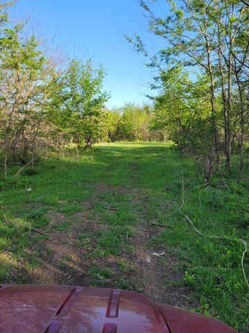 TBD County Road 212, Coolidge, TX 76635