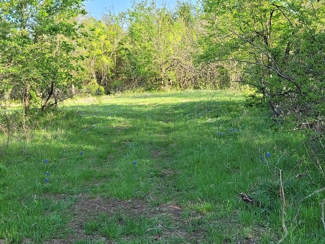 TBD County Road 212, Coolidge, TX 76635