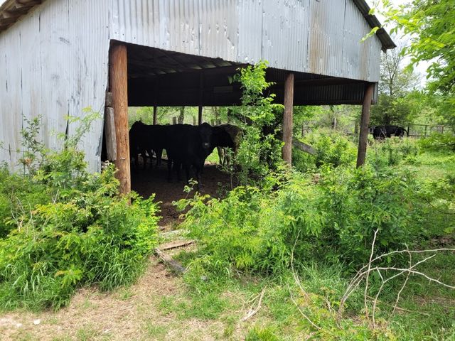 TBD County Road 212, Coolidge, TX 76635