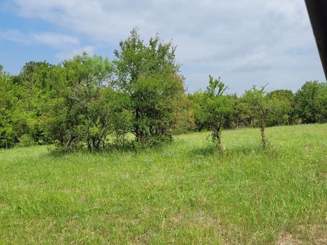 TBD County Road 212, Coolidge, TX 76635