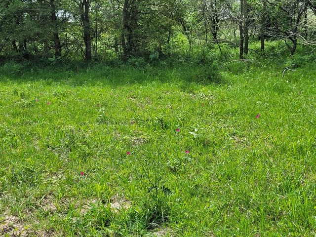 TBD County Road 212, Coolidge, TX 76635