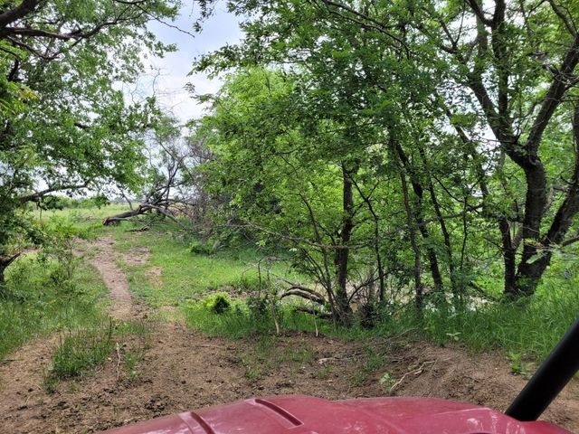 TBD County Road 212, Coolidge, TX 76635