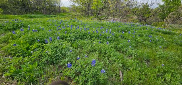 TBD County Road 212, Coolidge, TX 76635