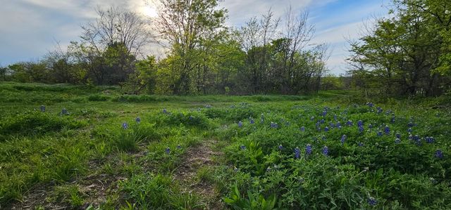 TBD County Road 212, Coolidge, TX 76635