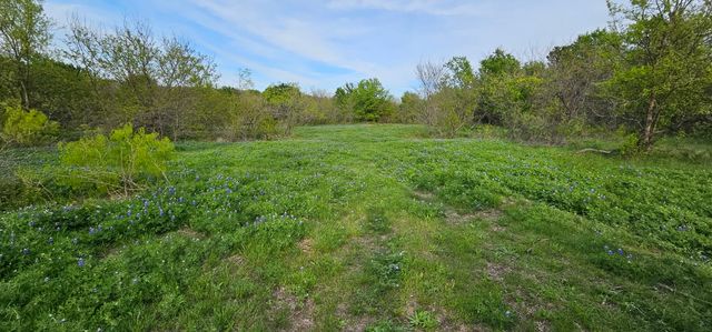 TBD County Road 212, Coolidge, TX 76635
