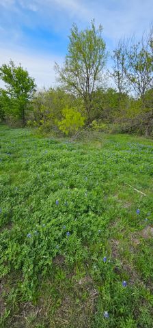 TBD County Road 212, Coolidge, TX 76635