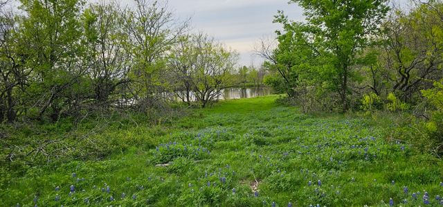 TBD County Road 212, Coolidge, TX 76635