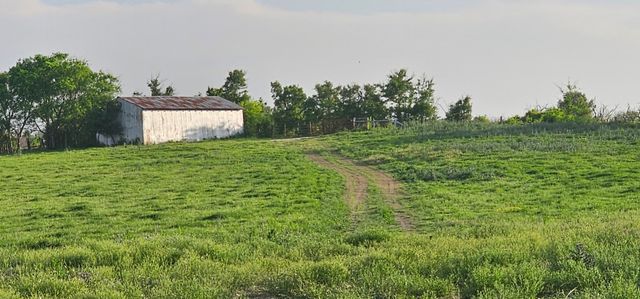 TBD County Road 212, Coolidge, TX 76635