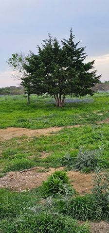 TBD County Road 212, Coolidge, TX 76635