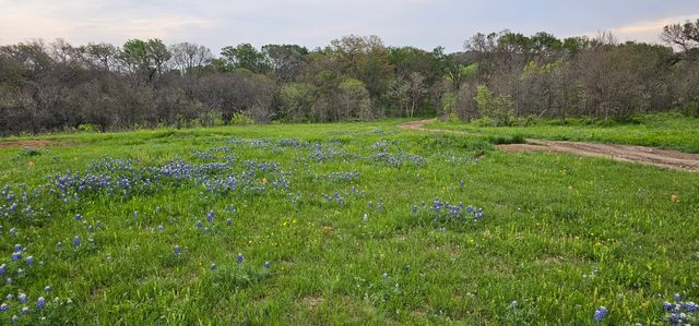 TBD County Road 212, Coolidge, TX 76635