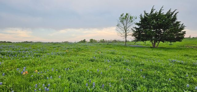 TBD County Road 212, Coolidge, TX 76635