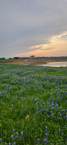 TBD County Road 212, Coolidge, TX 76635