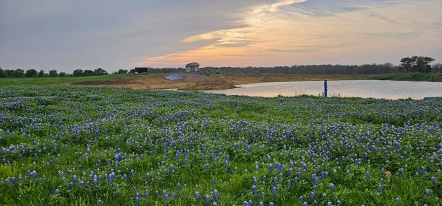 TBD County Road 212, Coolidge, TX 76635
