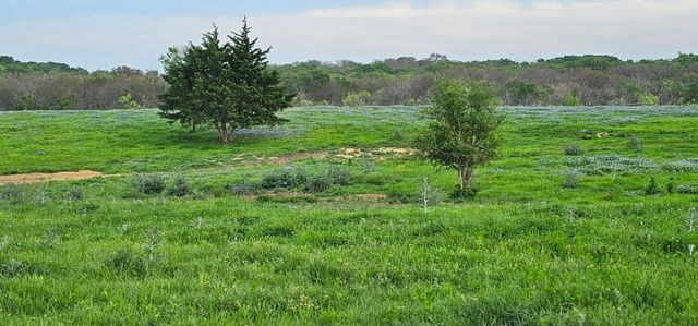 TBD County Road 212, Coolidge, TX 76635