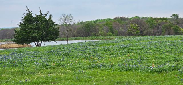 TBD County Road 212, Coolidge, TX 76635