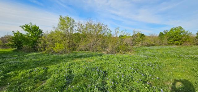 TBD County Road 212, Coolidge, TX 76635