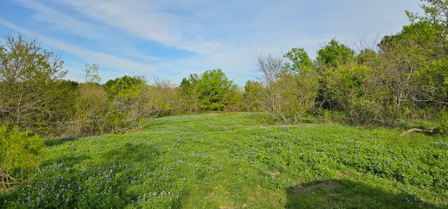 TBD County Road 212, Coolidge, TX 76635