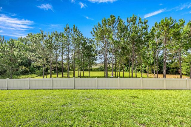 358 IRVING BEND DRIVE, Groveland, FL 34736