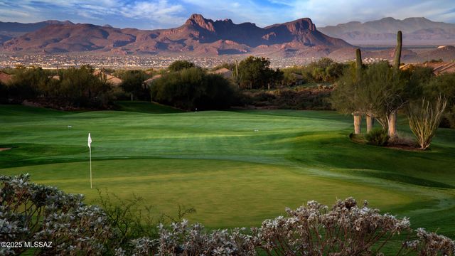 13529 N Buckhorn Cholla Drive, Marana, AZ 85658