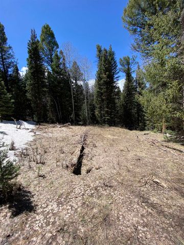 433 Juniper Road, Cimarron, CO 81220