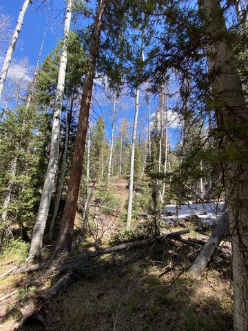 433 Juniper Road, Cimarron, CO 81220